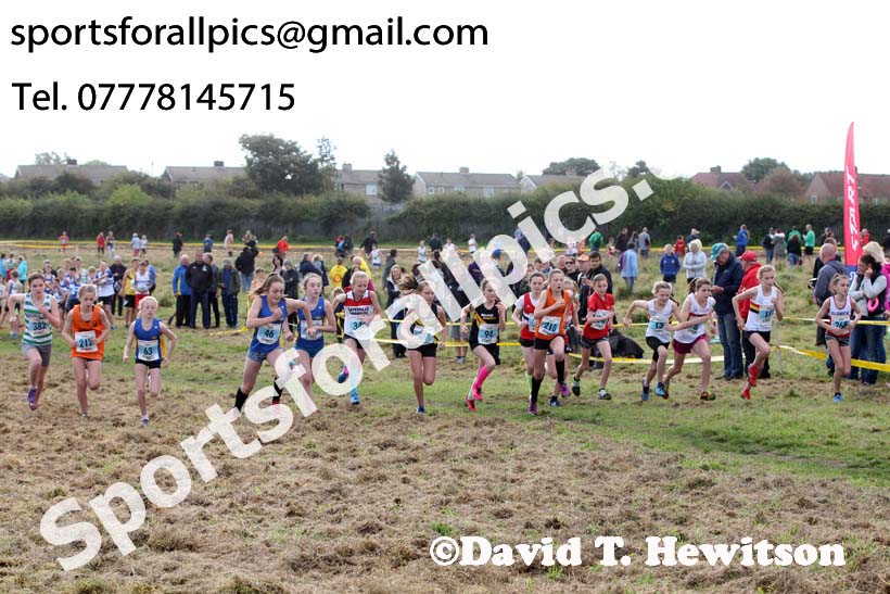 Girls under-13s Start Fitness North Eastern Harriers League, Wrekenton, Gateshead. Photo:  David T. Hewitson/Sports for All Pics